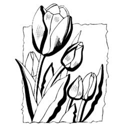 Coloriage Tulipe (Nature et saisons) #161730 à imprimer et colorier