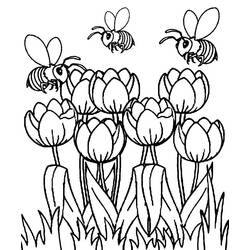 Coloriage Tulipe (Nature et saisons) #174132 à imprimer et colorier