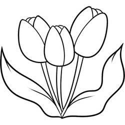 Coloriage Tulipe (Nature et saisons) #174135 à imprimer et colorier