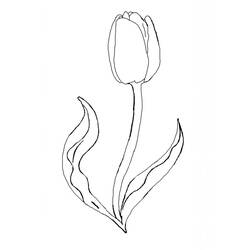 Coloriage Tulipe (Nature et saisons) #174138 à imprimer et colorier