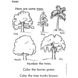 Dessin à colorier: Arbre (Nature) #154914 - Coloriages à Imprimer Gratuits