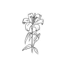 Dessin à colorier: Bouquet de fleurs (Nature) #160844 - Coloriages à imprimer