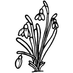Dessin à colorier: Bouquet de fleurs (Nature) #160845 - Coloriages à Imprimer Gratuits