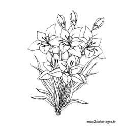 Dessin à colorier: Bouquet de fleurs (Nature) #160865 - Coloriages à Imprimer Gratuits