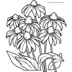 Dessin à colorier: Bouquet de fleurs (Nature) #160888 - Coloriages à Imprimer Gratuits
