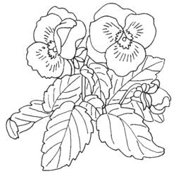 Dessin à colorier: Bouquet de fleurs (Nature) #160960 - Coloriages à Imprimer Gratuits