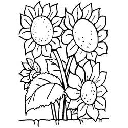 Dessin à colorier: Bouquet de fleurs (Nature) #160964 - Coloriages à imprimer