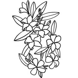 Dessin à colorier: Bouquet de fleurs (Nature) #161015 - Coloriages à Imprimer Gratuits