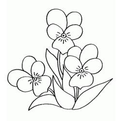 Dessin à colorier: Bouquet de fleurs (Nature) #161093 - Coloriages à imprimer