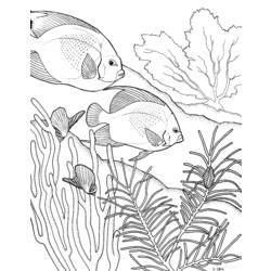 Dessin à colorier: Corail (Nature) #163040 - Coloriages à Imprimer Gratuits