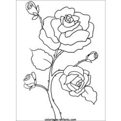 Dessin à colorier: Fleurs (Nature) #154967 - Coloriages à imprimer