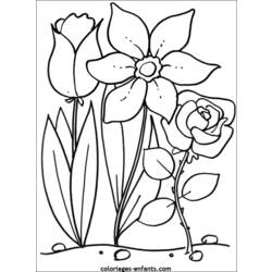 Dessin à colorier: Fleurs (Nature) #154975 - Coloriages à imprimer