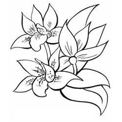 Dessin à colorier: Fleurs (Nature) #154979 - Coloriages à Imprimer Gratuits