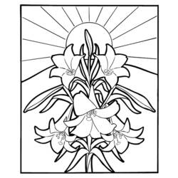 Dessin à colorier: Fleurs (Nature) #154998 - Coloriages à Imprimer Gratuits