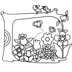 Dessin à colorier: Fleurs (Nature) #155013 - Coloriages à Imprimer Gratuits