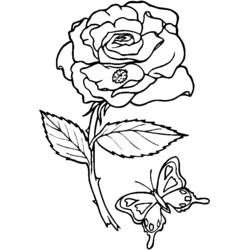 Dessin à colorier: Fleurs (Nature) #155018 - Coloriages à Imprimer Gratuits