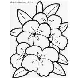 Dessin à colorier: Fleurs (Nature) #155030 - Coloriages à Imprimer Gratuits