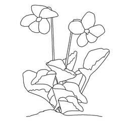 Dessin à colorier: Fleurs (Nature) #155045 - Coloriages à Imprimer Gratuits