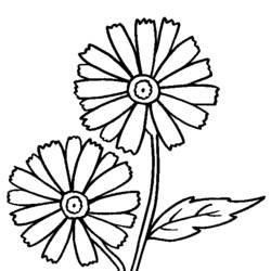 Dessin à colorier: Fleurs (Nature) #155083 - Coloriages à Imprimer Gratuits