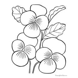 Dessin à colorier: Fleurs (Nature) #155085 - Coloriages à imprimer