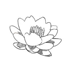 Dessin à colorier: Fleurs (Nature) #155093 - Coloriages à Imprimer Gratuits