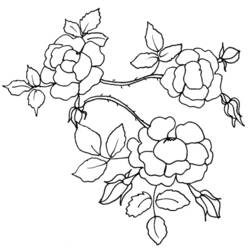 Dessin à colorier: Fleurs (Nature) #155096 - Coloriages à Imprimer Gratuits