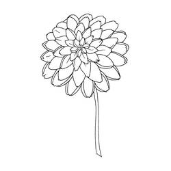 Dessin à colorier: Fleurs (Nature) #155097 - Coloriages à Imprimer Gratuits