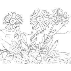 Dessin à colorier: Fleurs (Nature) #155116 - Coloriages à Imprimer Gratuits