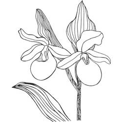 Dessin à colorier: Fleurs (Nature) #155130 - Coloriages à Imprimer Gratuits