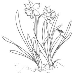 Dessin à colorier: Fleurs (Nature) #155166 - Coloriages à Imprimer Gratuits