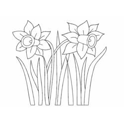 Dessin à colorier: Fleurs (Nature) #155167 - Coloriages à Imprimer Gratuits