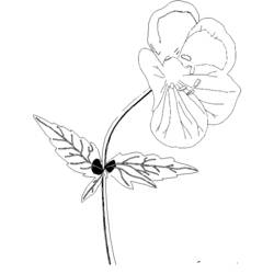 Dessin à colorier: Fleurs (Nature) #155182 - Coloriages à Imprimer Gratuits