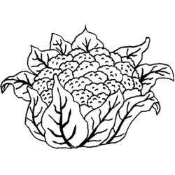 Dessin à colorier: Fleurs (Nature) #155194 - Coloriages à Imprimer Gratuits