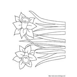 Dessin à colorier: Fleurs (Nature) #155217 - Coloriages à Imprimer Gratuits