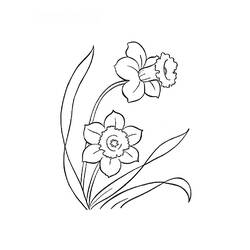 Dessin à colorier: Fleurs (Nature) #155250 - Coloriages à imprimer