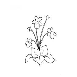 Dessin à colorier: Fleurs (Nature) #155252 - Coloriages à Imprimer Gratuits