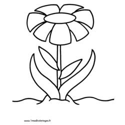 Dessin à colorier: Fleurs (Nature) #155264 - Coloriages à Imprimer Gratuits