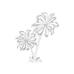 Dessin à colorier: Palmier (Nature) #161122 - Coloriages à imprimer