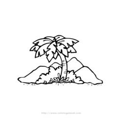 Dessin à colorier: Palmier (Nature) #161169 - Coloriages à imprimer
