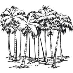 Dessin à colorier: Palmier (Nature) #161177 - Coloriages à imprimer