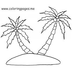 Dessin à colorier: Palmier (Nature) #161278 - Coloriages à imprimer