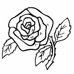 Dessin à colorier: Roses (Nature) #161870 - Coloriages à imprimer