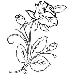 Dessin à colorier: Roses (Nature) #161874 - Coloriages à imprimer