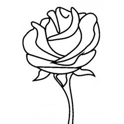 Dessin à colorier: Roses (Nature) #161876 - Coloriages à Imprimer Gratuits