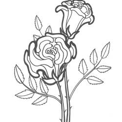 Dessin à colorier: Roses (Nature) #161879 - Coloriages à Imprimer Gratuits