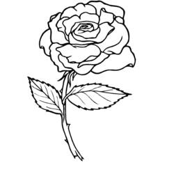 Dessin à colorier: Roses (Nature) #161884 - Coloriages à imprimer