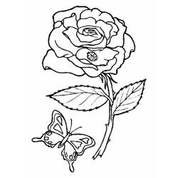 Dessin à colorier: Roses (Nature) #161885 - Coloriages à imprimer