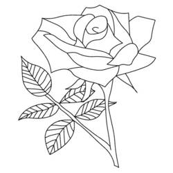 Dessin à colorier: Roses (Nature) #161894 - Coloriages à Imprimer Gratuits
