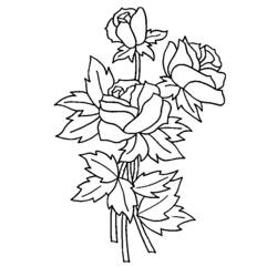 Dessin à colorier: Roses (Nature) #161895 - Coloriages à imprimer