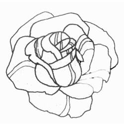 Dessin à colorier: Roses (Nature) #161898 - Coloriages à Imprimer Gratuits